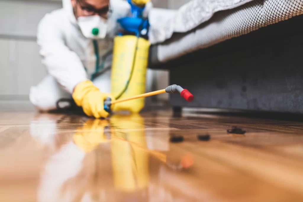 Defending Your Space — A Guide to Mosquito Prevention