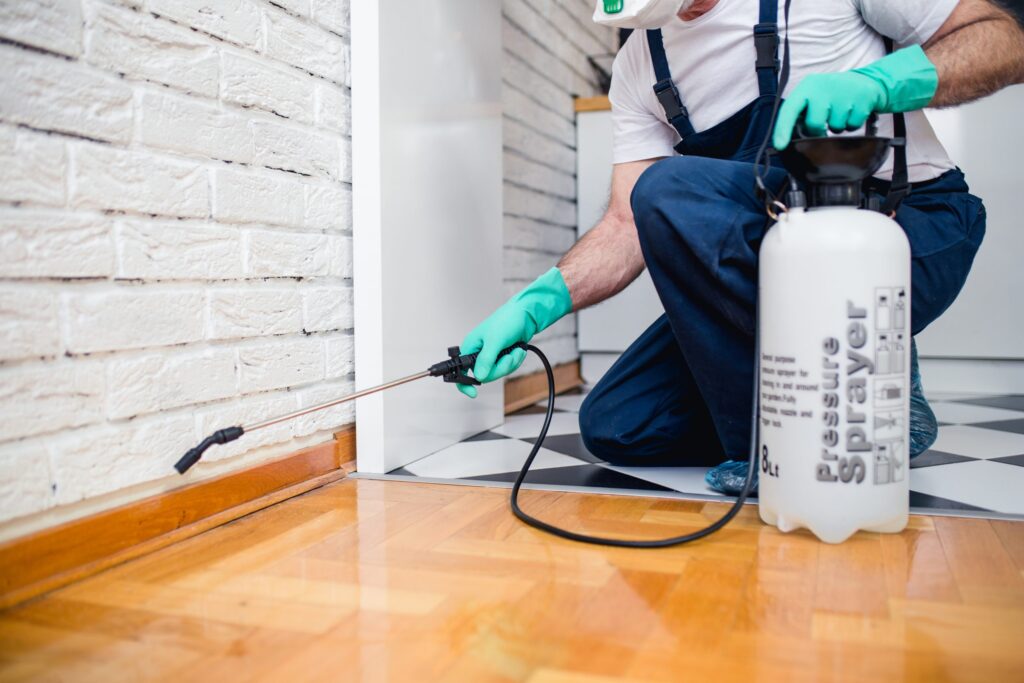 9 Reasons That Will Compel You to Do Pest Control at Your Property